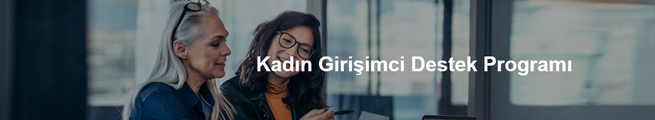 Kadın Girişimcileri Destekleme Programı